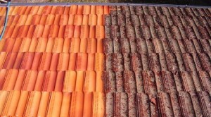 roof tile cleaning 