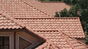 tile roof cleaning 