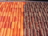 roof-tile-cleaning
